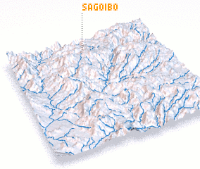 3d view of Sagoibo