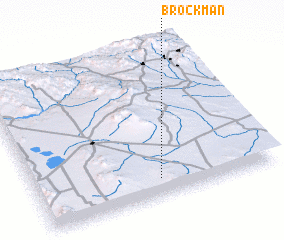 3d view of Brockman