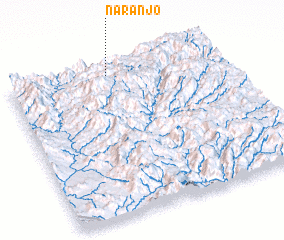 3d view of Naranjo