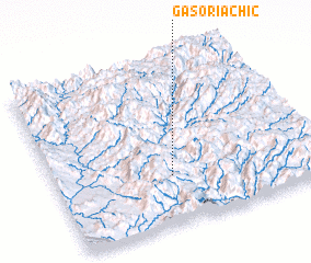 3d view of Gasoriachic