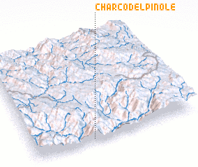 3d view of Charco del Pinole