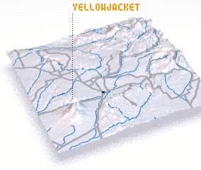 3d view of Yellow Jacket