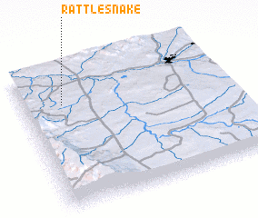 3d view of Rattlesnake