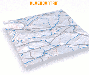 3d view of Blue Mountain