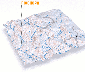 3d view of Niochopa