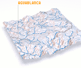 3d view of Agua Blanca