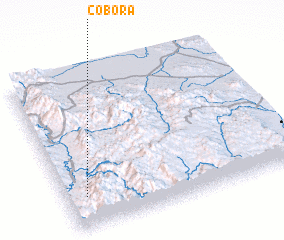 3d view of Cobora