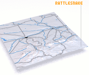 3d view of Rattlesnake