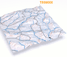 3d view of Troweek