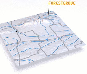 3d view of Forestgrove