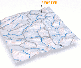 3d view of Feaster