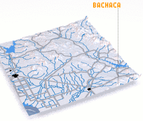 3d view of Bachaca