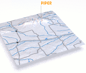 3d view of Piper
