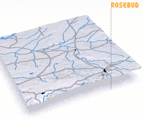 3d view of Rosebud