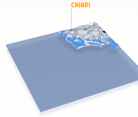 3d view of Chiari