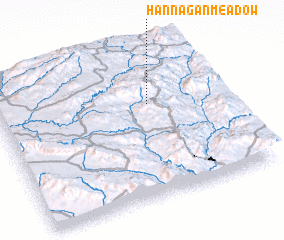 3d view of Hannagan Meadow