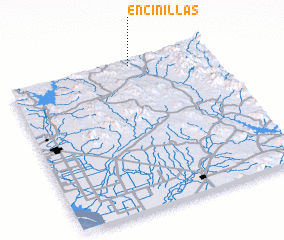 3d view of Encinillas