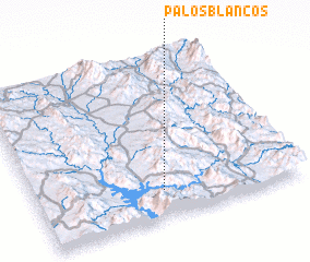3d view of Palos Blancos