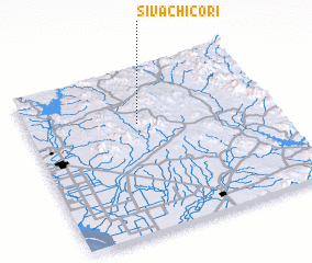 3d view of Sivachicori