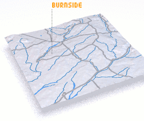 3d view of Burnside