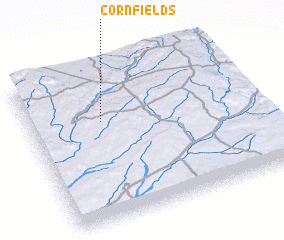 3d view of Cornfields