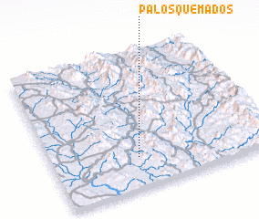 3d view of Palos Quemados