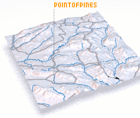 3d view of Point of Pines