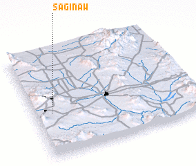 3d view of Saginaw