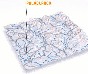 3d view of Palo Blanco