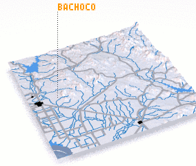 3d view of Bachoco