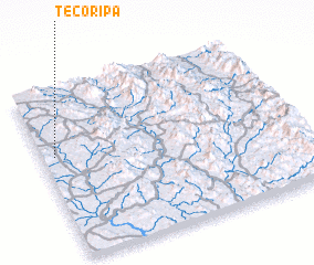 3d view of Tecoripa