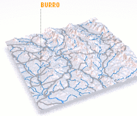 3d view of Burro