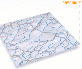 3d view of Boyokole