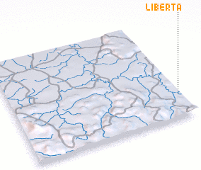 3d view of Liberta