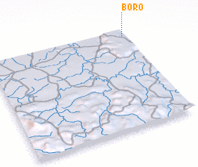 3d view of Boro