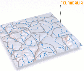 3d view of Felnabalia