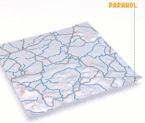 3d view of Parawol