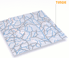 3d view of Tungie