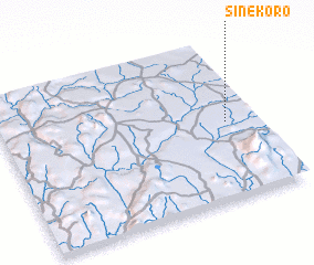 3d view of Sinekoro