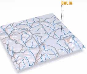 3d view of Balia