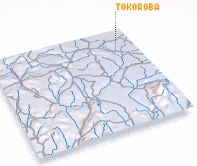 3d view of Tokoroba