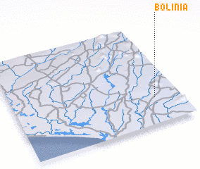 3d view of Bolinia