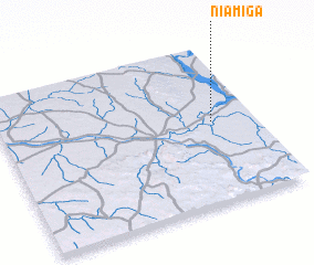 3d view of Niamiga
