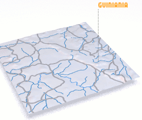 3d view of Guiniania