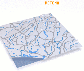 3d view of Petema