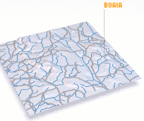 3d view of Boaia