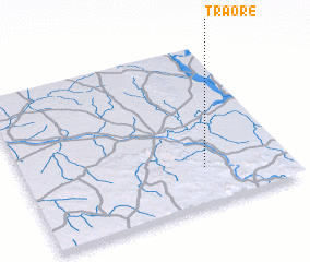 3d view of Traoré