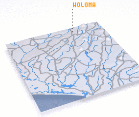 3d view of Woloma