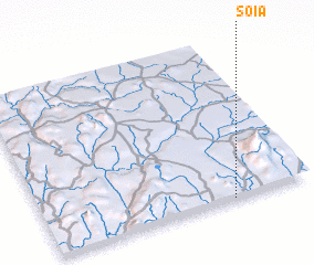 3d view of Soia