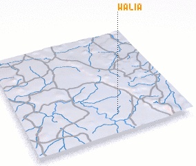 3d view of Walia